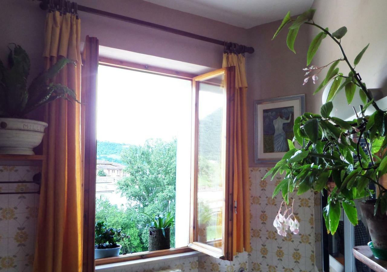 La Finestra Sul Fiume Bed & Breakfast Fossombrone Ngoại thất bức ảnh